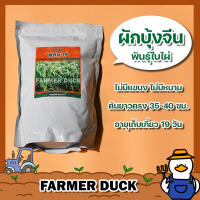 ผักบุ้ง ผักบุ้งจีน พู่กัน 19 เมล็ดผักบุ้ง เมล็ดพันธุ์ผักบุ้ง พันธุ์พัฒนาใหม่ ใบไผ่ ไม่มีแขนง ลำต้นยาว 35-40 ซม. โฮมซีดส์ บรรจุ 1 กิโลกรัม