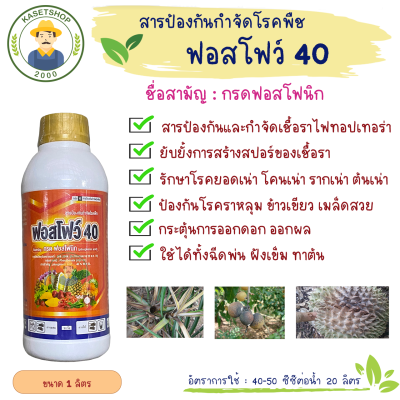 ฟอสโฟว์ 40 (ฟอสโฟนิคแอซิด 40%) ขนาด 1 ลิตร #โพลิอาฟอส#ไฟทอปเทอร่า#ผลเน่า#รากเน่า#โคนเน่า