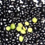 Đỗ đen đóng gói 1kg  hàng ngon, khô, đều hạt