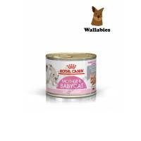 Royal Canin Mother &amp; Babycat (195g.)1กระป๋อง สำหรับแม่แมวตั้งท้อง - ให้นม และลูกแมวหย่านม อายุต่ำกว่า 4 เดือน