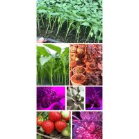 Grow Light พร้อมขาตั้ง Full Spectrum LED Floor Plant Light สำหรับพืชในร่ม Grow โคมไฟเปิดปิดสวิทช์ US Plug