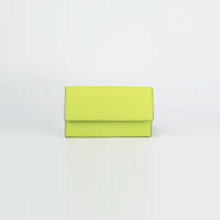 Haus of Mana กระเป๋ารุ่น Clutch on Strap สีเขียว