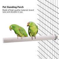 Wood Pet Standing Perch Bird Perch for Parrot Bird Your Lovely Pets Use