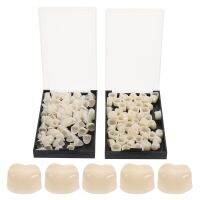 2 Boxes Patch Kit Synthetic Tooth Repair Tool Temporary Veneer Molars Repair Kits Front Temporary Resistable