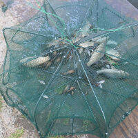 Mesh For Fishing Net Fishing Tackle Cage Folding Crayfish Catcher Casting Fish Network Crab Crayfish Shrimp Melt Eels Traps New