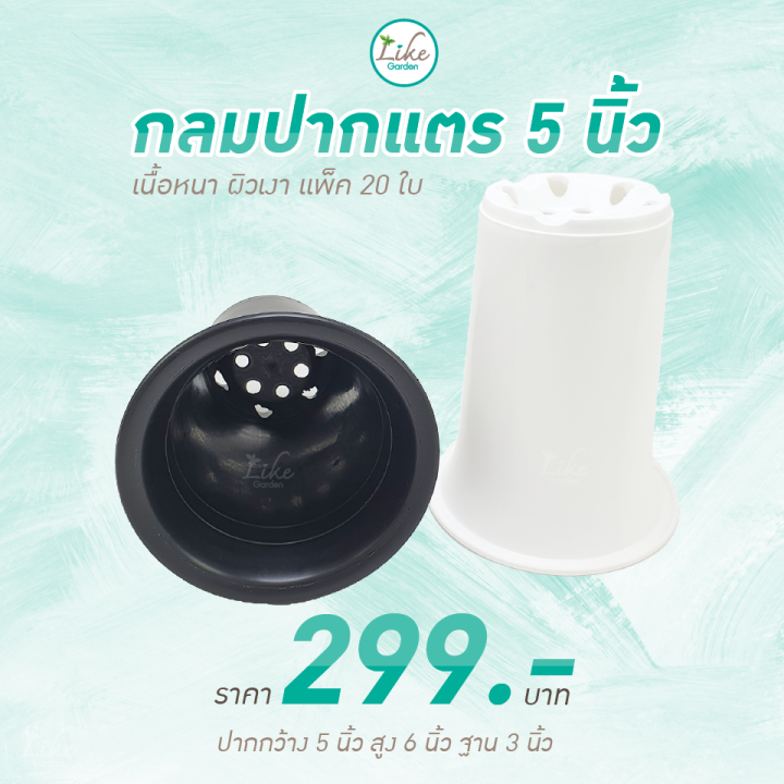 กระถางกลมทรงปากแตร-ขนาด-5-นิ้ว-แพ็ค-20-ใบ-กระถางพลาสติกปากบาน