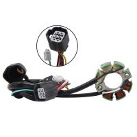 Motorcycle Generator Ignition Stator Coil For Suzuki RMZ250 RMZ 250 For Kawasaki KX250F 2004 2005 2006 2007 2008 2009 2010 Parts