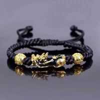 Braided Rope Bracelets Pixiu Charm Bracelet for Women Men Gold Pixiu Bring Lucy Wealth Black Red Color Wrist Rope Chain Charms and Charm Bracelet