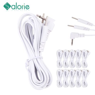 2pcs 2.5mm Electrode Tens Pin Type Cable Conductive Line Wire Head for Electrode Pad Digital Tens Machine Therapy Massage Line