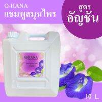 Herbal Shampoo แชมพู สมุนไพร อัญชัน แชมพูสระผม บรรจุแกลลอน ยี่ห้อ Q-HaNa [คิวฮาน่า] ขนาด 10 ลิตร. สำหรับใช้ในห้องน้ำในโรงแรม รีสอร์ท