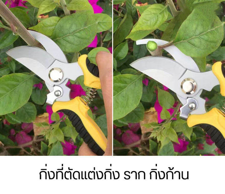 เครื่องมือจัดทำสวน-อุปกรณ์ปลูกต้น-อุปกรณ์ทำสวน-เครื่องมือช่าง-กรรไกรตัดกิ่ง-กรรไกรตัดกิ่ง-กรรไกรทำสวนไม้ชุดอุปกรณ์พรวนดิน-5-ชิ้น-พลั่วขุดดิน-พลั่วตักดิน-พลั่วสแตนเลส-ถุงมือขุดดิน-ถุงมือขุดดินทำสวน-ถุง