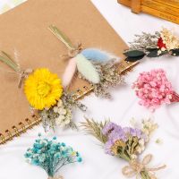 Real Flowers Mini Natural Dried Flower Bouquet Wedding Party Decor Creative Valentine 39;s Day Colorful Flower Bouquet Photo Props