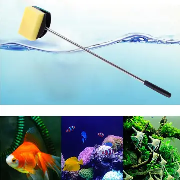 Fish Tank Cleaning Sponge - Best Price in Singapore - Jan 2024