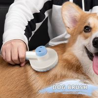 【CC】 Puppy Brushes Short Hair Dog Fur Removes Hairs Cleaning to Remove Comb Grooming