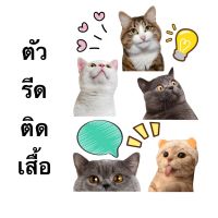 ตัวรีดร้อน ติดเสื้อ หมวก กระเป๋า ลาย Cat.01 พร้อมส่ง!!!