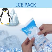 【CW】 Reusable Injection Refrigerate Food Keep Icing Cooler Gel Dry Pack