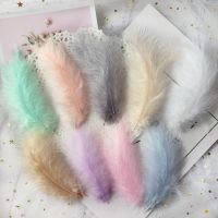 50Pcs Feather 10-15 Cm 4-6 Inches Turkey Feathers Fluffy Plumes Decoratie Wedding party Decoration