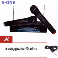 ไมโครโฟนไร้สาย ไมค์ลอยคู่ WIRELESS MICROPHONE รุ่น RY-2002 ฟรีสายสัญญาณเสียง