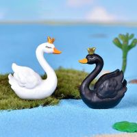 2pcs/lot DIY Swan Black White Cygnus Goose Lake Model Statue Figurine Micro Crafts Ornament Miniatures