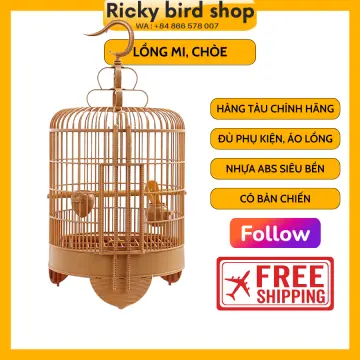 Lồng Mi tầu nóc bằng Lồng Mi tầu nóc bằng
