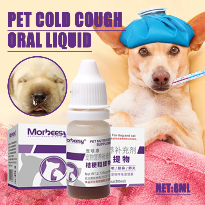 Pet Cold Cough Pet Cold Lack of Energy Runny Nose Sneezing Loss of