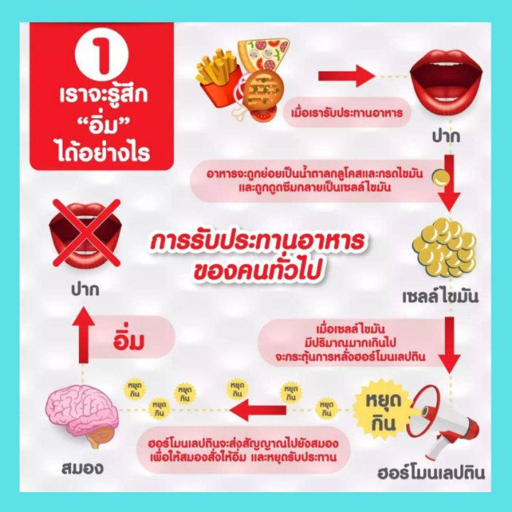 เลปติโก-พลัส-เอ็ม-lep-tigo-plus-m-ผลิตภัณฑ์เสริมอาหาร-ผสมสารสกัด-จากผงมะม่วง-แอฟริกัน-แมงโก้-ช่วยดูแลรูปร่างกระชับ-สัดส่วน-แขน-ขา