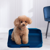 New Easy to clean Portable Toilet Plastic Dog indoor Training Pad Puppy Cat Toilet For Dog Small Toilet Cleaning Supplies