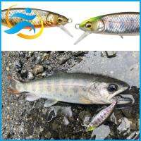 กีฬาเหยื่อตกปลาปลอมลายขวางเหยื่อรูปปลาตะขอยึดปลาเหยื่อ Minnow ที่จมน้ำ