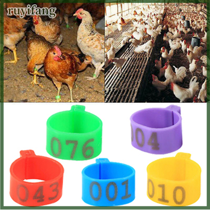 ruyifang-100x-16mm-clip-on-leg-band-แหวนสำหรับไก่เป็ดไก่ไก่ไก่ไก่ไก่ไก่ไก่ไก่ไก่ไก่