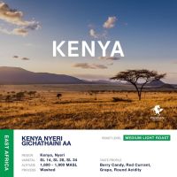 KENYA, NYERI GICHATHAINI AA