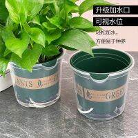 [COD] Self-absorbing lazy flowerpot new automatic green radish anti-rot special storage indoor simple plastic gallon