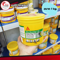 Sika ซิก้า-102 ซีเมนต์แห้งเร็วหยุดน้ำรั่วซึม (Waterplug) 1 กก.