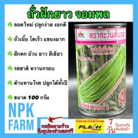 ถั่วฝักยาว จอมพล ขนาด 100 กรัม เมล็ดพันธุ์ ตะวันต้นกล้า ลอตใหม่ โตไว ถั่วเนื้อ ฝักสีเขียวอ่อน ติดฝักดก แข็งแรง ต้านทานโรค อายุเก็บ 50 วัน