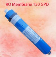 ไส้กรอง RO Membrane 150 GPD