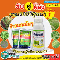 ? ชุดบวกยาคุม1 โกลอะนิล+แซดบีควิน ขนาด 500ซีซี+100กรัมx2ซอง กำจัดหญ้าข้าวนก หญ้าเดือย หญ้าดอกขาว