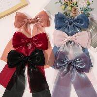 【CW】 2021 Large Hairpin Silk Hairband Clip Hair Accessories