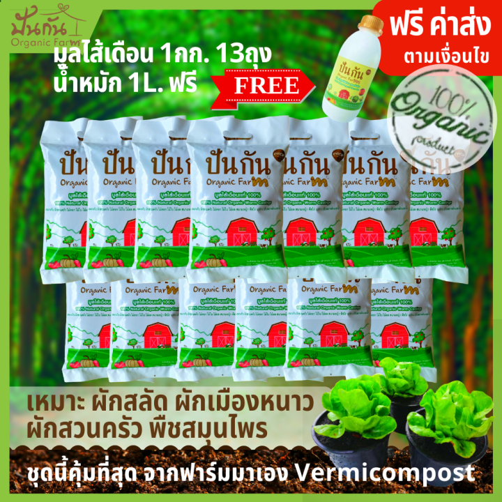 คุ้มที่สุด-มูลไส้เดือน-1kg-13ถุง-free-น้ำหมักมูลไส้เดือนเข้มข้น-1l-ของต้องมี-คนอยากปลูกผัก-ผักสลัด-ผักเมืองหนาว-ผักสวนครัว-ปลูกผักทางเอง