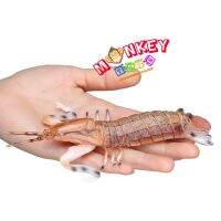 Monkey Toys - โมเดลสัตว์ Mantis Shrimp กั้ง ขนาด 15.00 CM (จากหาดใหญ่)