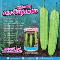 เมล็ดพันธุ์มะระจีนหยกมณีใหม่ ขนาด 100 กรัม