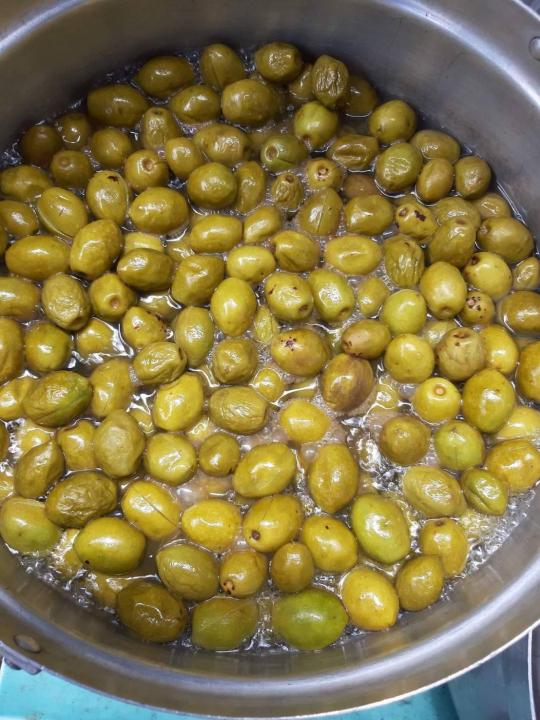 มะกอกน้ำ-water-olives-ขนาด-50-ซม