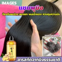 7 วันเห็นผลIMAGES แชมพูขิง 300ml สารสกัดจากขิงธรรมชาติ ป้องกันผมร่วงอย่างได้ผลและเร่งการเจริญเติบโตของเส้นผม บำรุงรากผม ฟื้นฟูสภาพผม แชมพูแก้ผมร่วง แชมพูเร่งผมยาว แชมพูแก้ผมร่วง แชมพูปลูกผมดก แชมพูสมุนไพร ยาสระผมแก้ร่วง แชมพูสระผม แชมพูป้องกัน