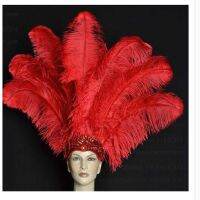 wholesale 10 PCS beautifu Red ostrich feather 40-45 cm / 16 to 18 inches