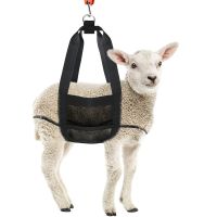 4X Calf for Weighing Small Animals,Livestock , Hang Scale, Calf Scale Hanging Weight Scale for Weighing