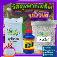 วัสดุเพาะเมล็ดบอนสี ? ฟรีกระปุกเพาะ ครบชุดสะดวกสบาย เพาะเมล็ดพืชได้ทุกชนิด?