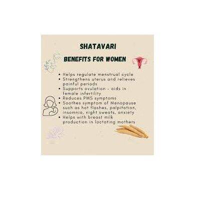 shatavari-powder-500-grams-pure-premium-quality