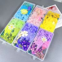 Colorful Nature Dried Flowers Handmade DIY Material Box Aromatic Dripping Glue Frame Epoxy Resin Filling Home Ornament Supplies