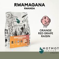 Rwanda Rwamagana (Washed) 200g | เมล็ดกาแฟคั่ว MOTMOT COFFEE