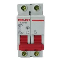 ต้นฉบับ Original High efficiency Delixi air switch 32A household 100A air switch DZ47s 2p 63A 40A miniature circuit breaker 220V