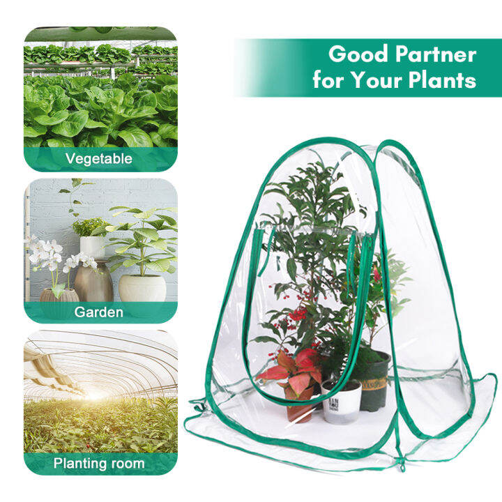 Greenhouse Mini Plant Cover Pop Up PVC Greenhouses Backyard Protecting for Flower Grow Gardening