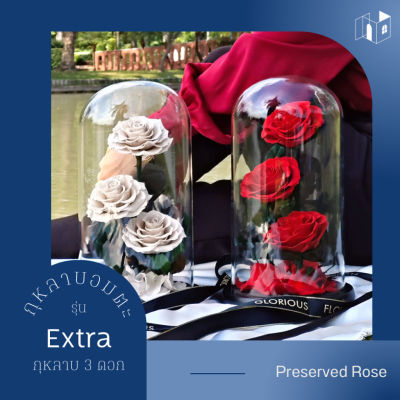 ดอกกุหลาบอมตะ รุ่น Extra 3 ดอก🎁ของขวัญให้แฟน 🌹ดอกจริงไม่เหี่ยวไมร่วง❤️ ดอกกุหลาบโหลแก้ว 3 ดอก มี 2 สีให้เลือก แดงคลาสสิค ขาววินเทจ